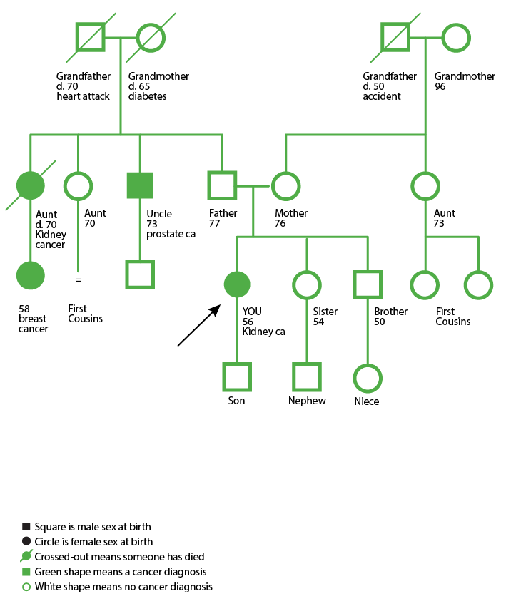 A map, called a pedigree, visualizing a family medical history by generation, similar to a family tree.